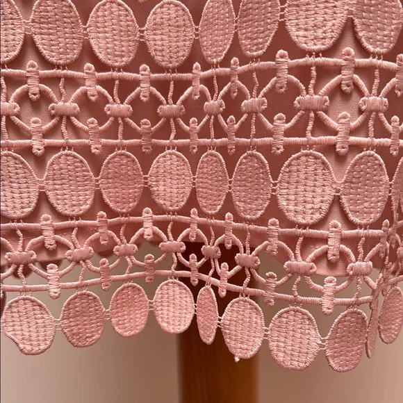 Elegant Pink Lace Dress - Picture 6 of 6